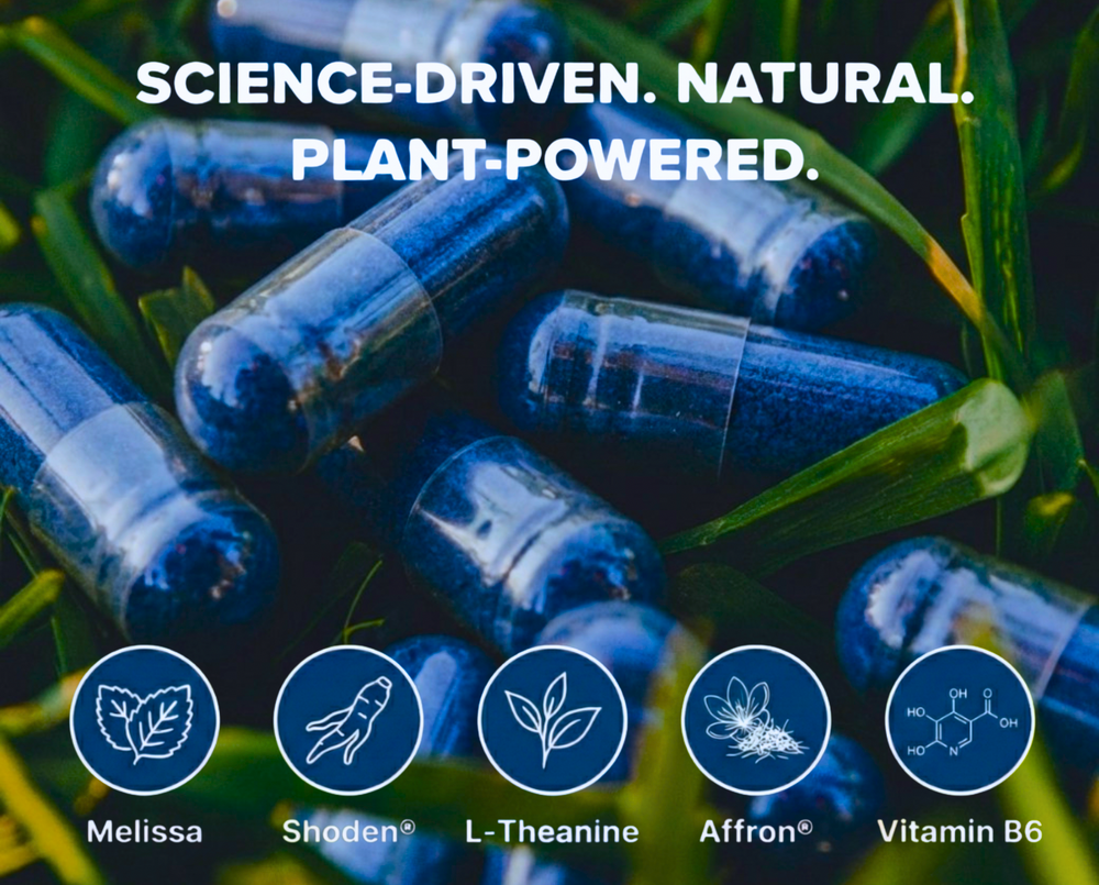 Deep Sleep + Recovery Supplement